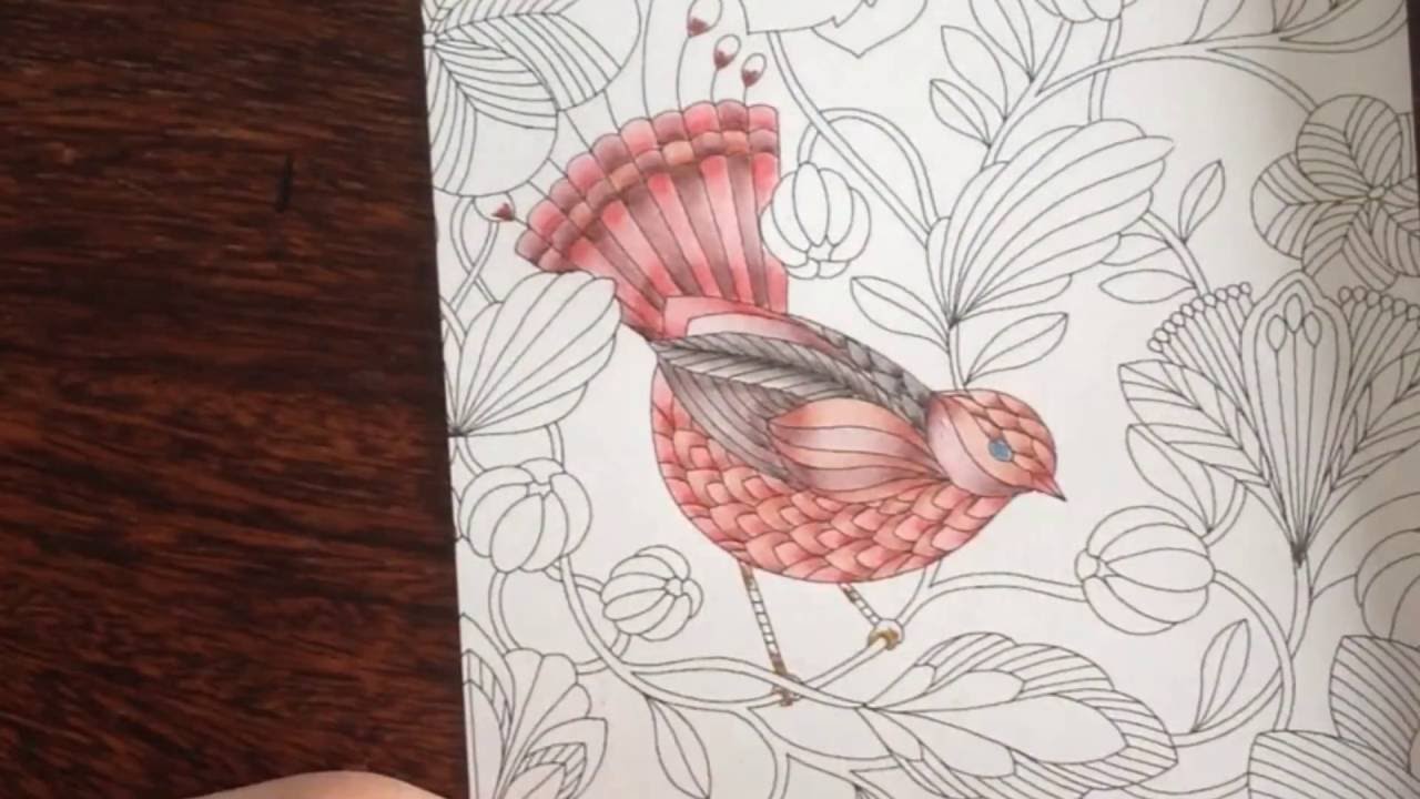 Trying out the KOI coloring brush pen - tropical world - Millie Marotta