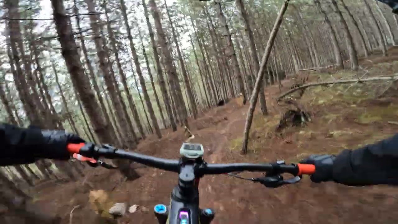 ⚡ 🔴 ALCORNOCALES⚡Bajada flow espectacular -  Enduro E-MTB en  Congosto - El Bierzo