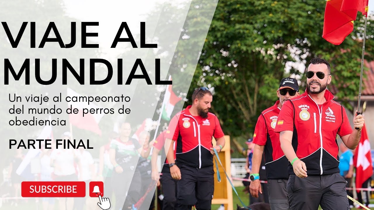 VIAJE AL MUNDIAL - PARTE FINAL - PRIMEROS DÍAS CON LEO