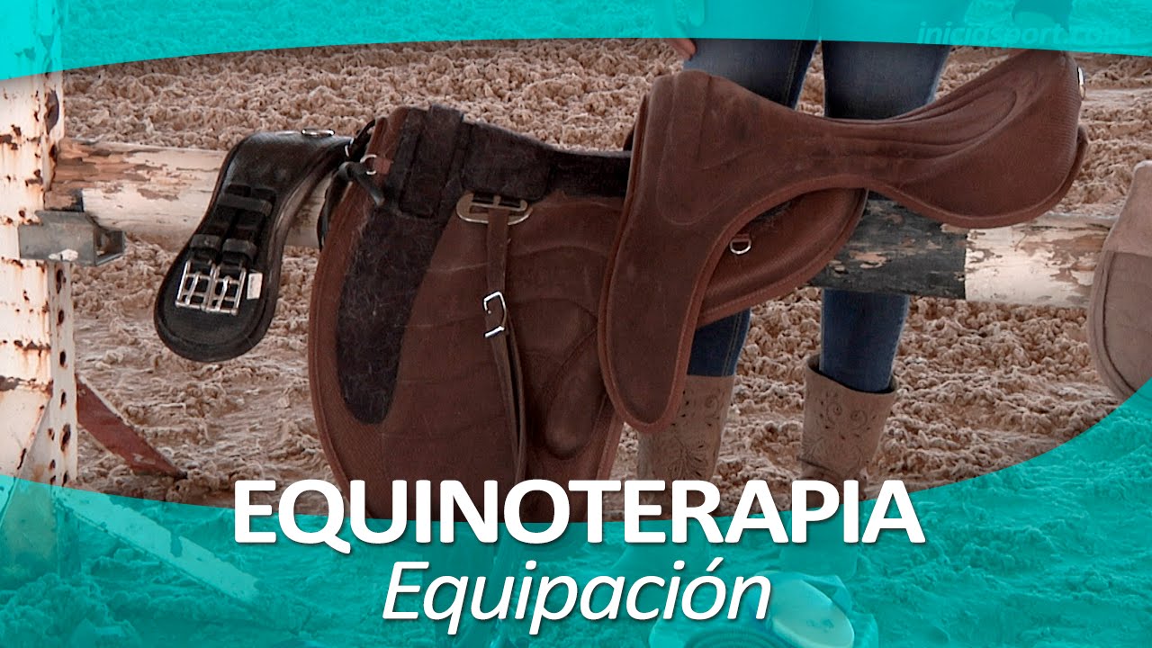 EQUINOTERAPIA 2 | Equipación