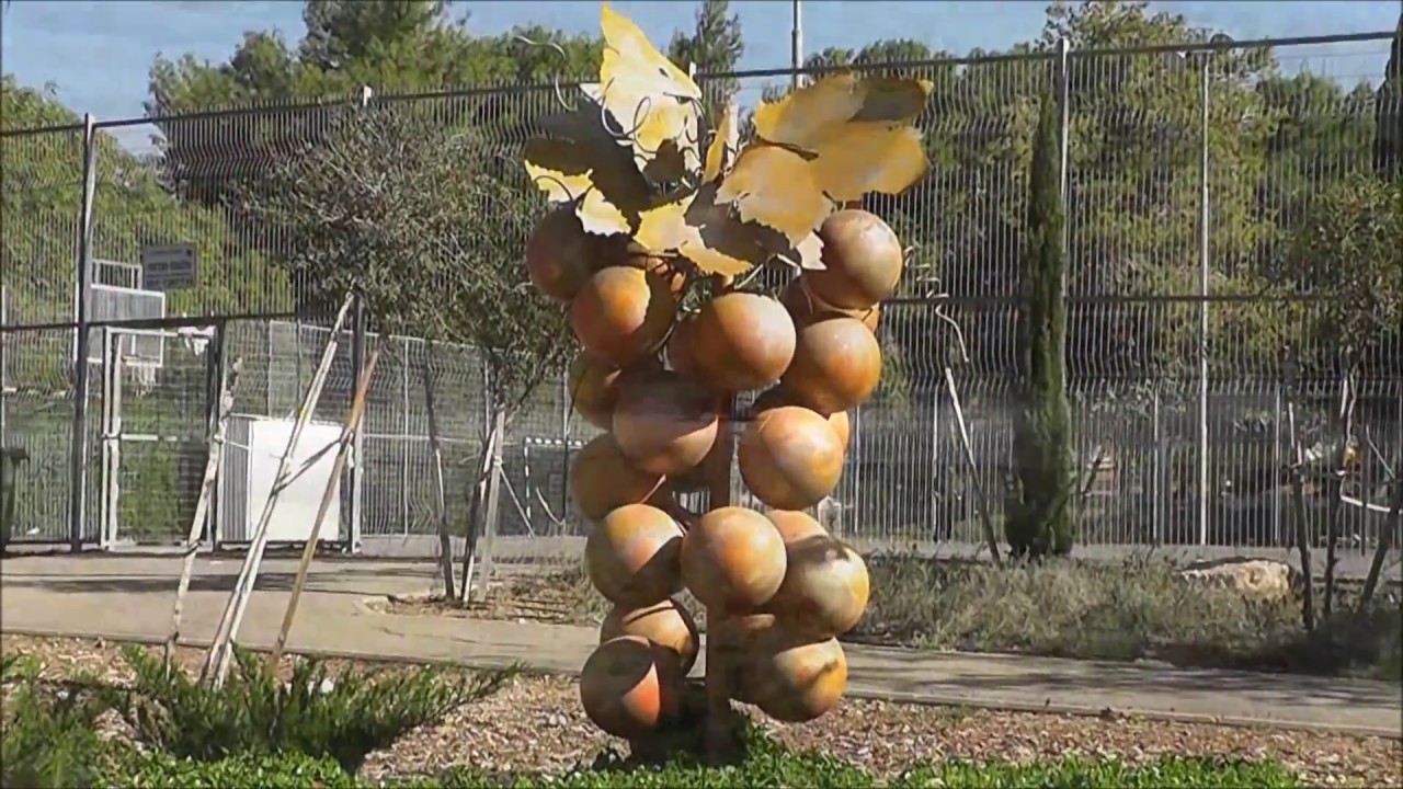 לכיש - סדרת מקומות בתנ