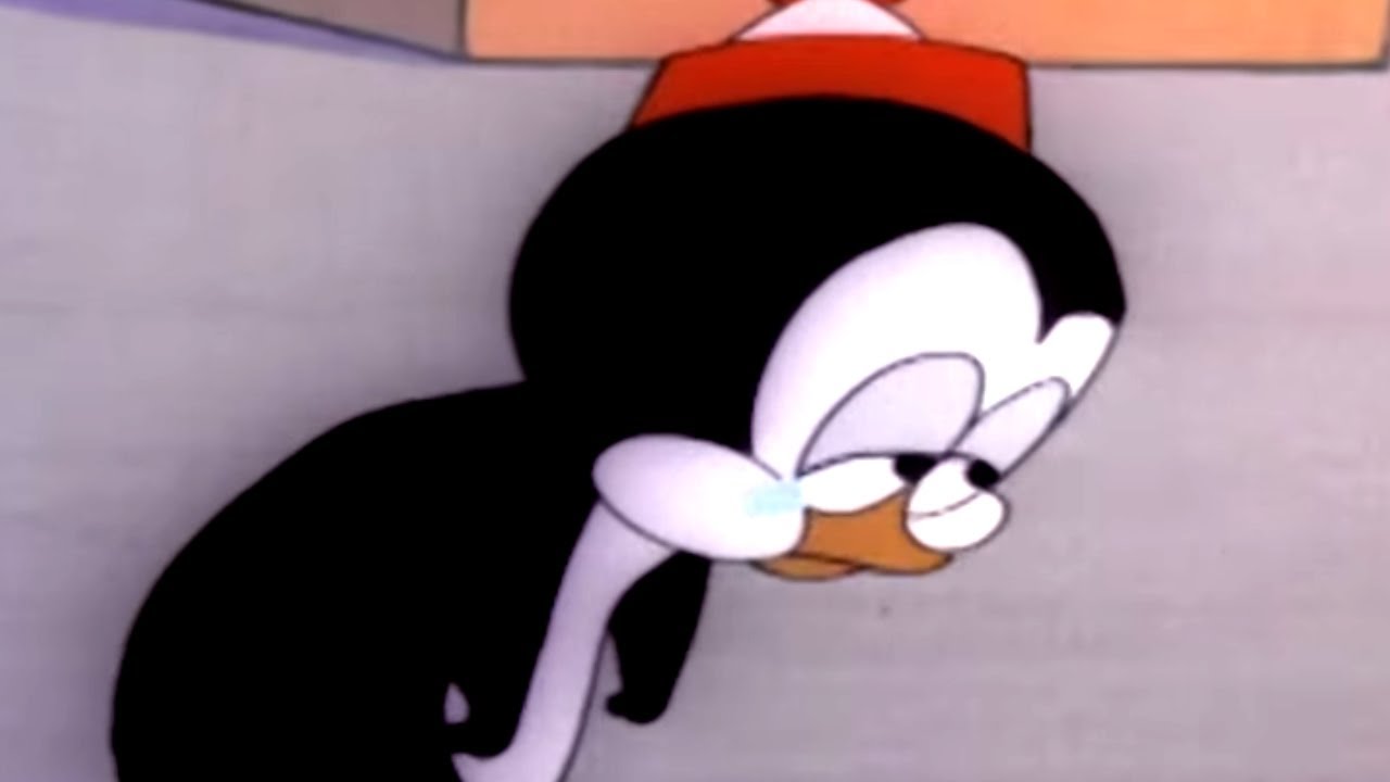 Chilly Willy en Español 🐧Mocasines Salmón - Capitulos 🐧Dibujos Antiguos | Dibujos Animados