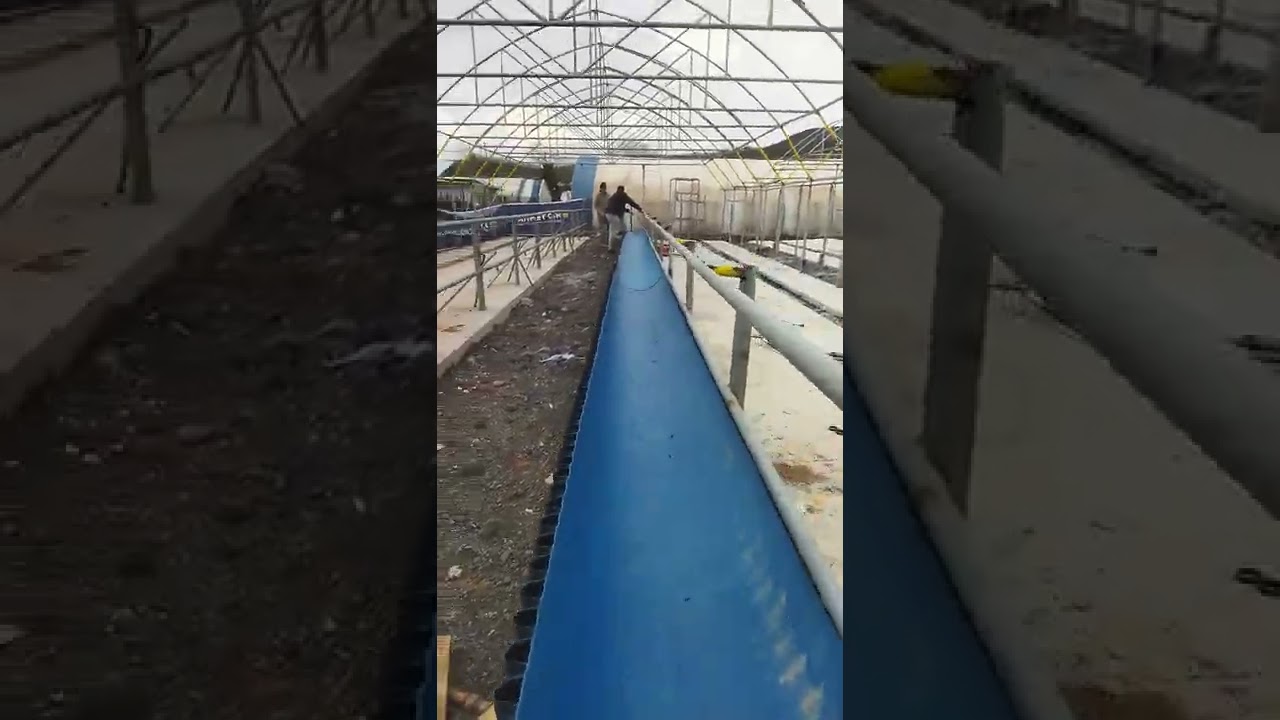 Ahır Yapımında Yemleme yolu K&ouml;rebe Borudan Yaptık