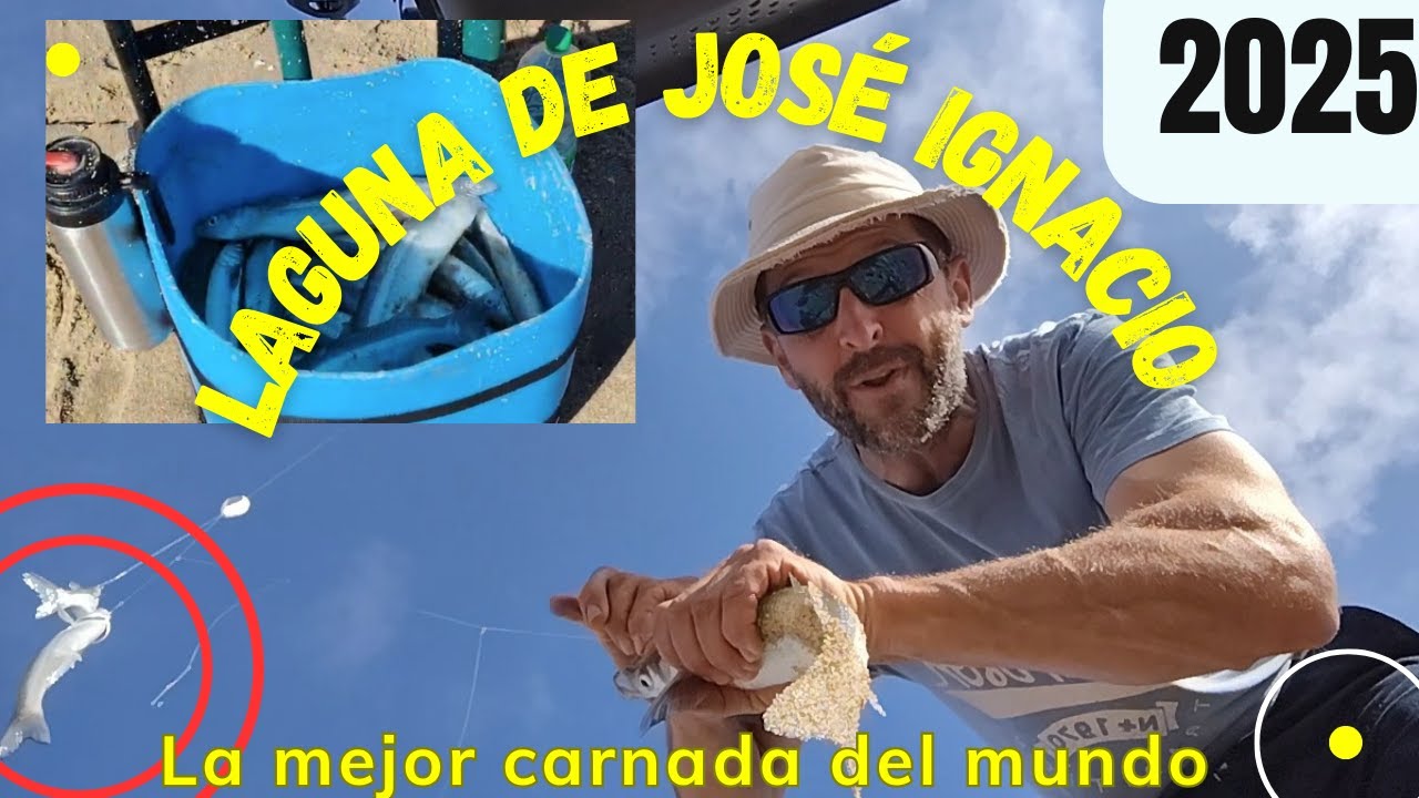 Pejerreyes en boca de José Ignacio.