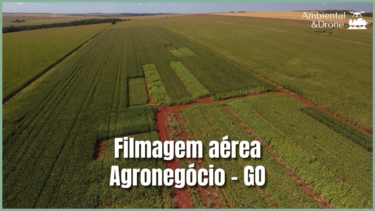 Vis&atilde;o A&eacute;rea para o Agro: Uso de Drones no Gerenciamento de Culturas #filmagemaerea #agricultura