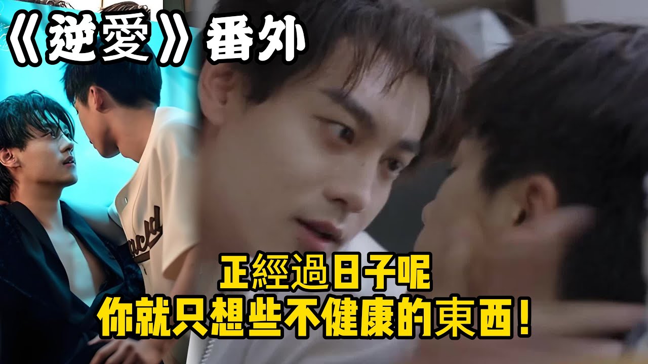 《逆愛》：番外！吳所畏小嘴叭叭的說啥呢，想親！“正經過日子呢，你就只想些不健康的東西！”