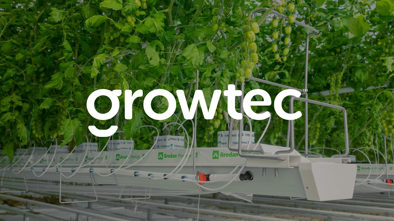 M&M Farms testimonial to Growtec Solutions in Leamington, Ontario with Steven Mastronardi