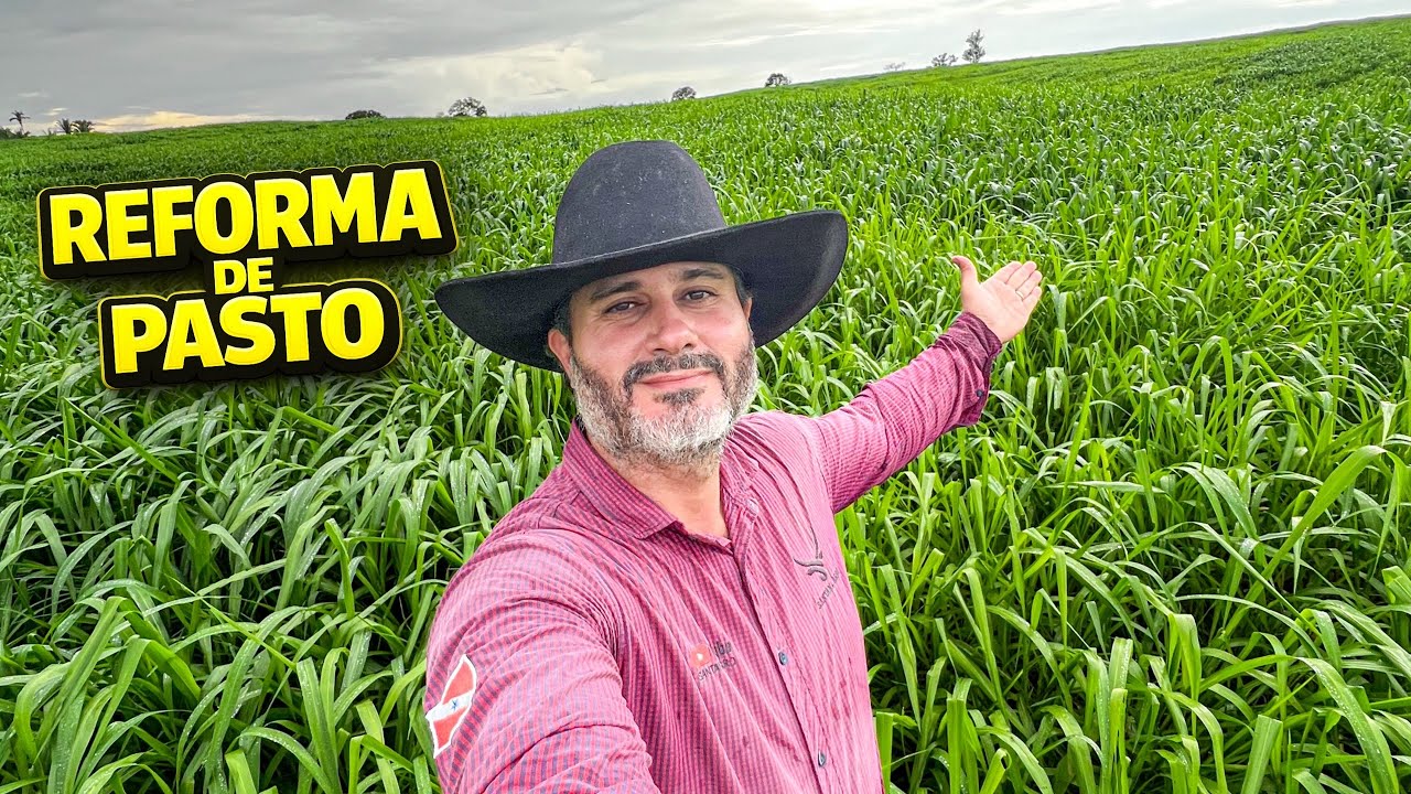 Reformamos 4 Alqueires de Pasto 🌱| Antes e Depois em 55 Dias