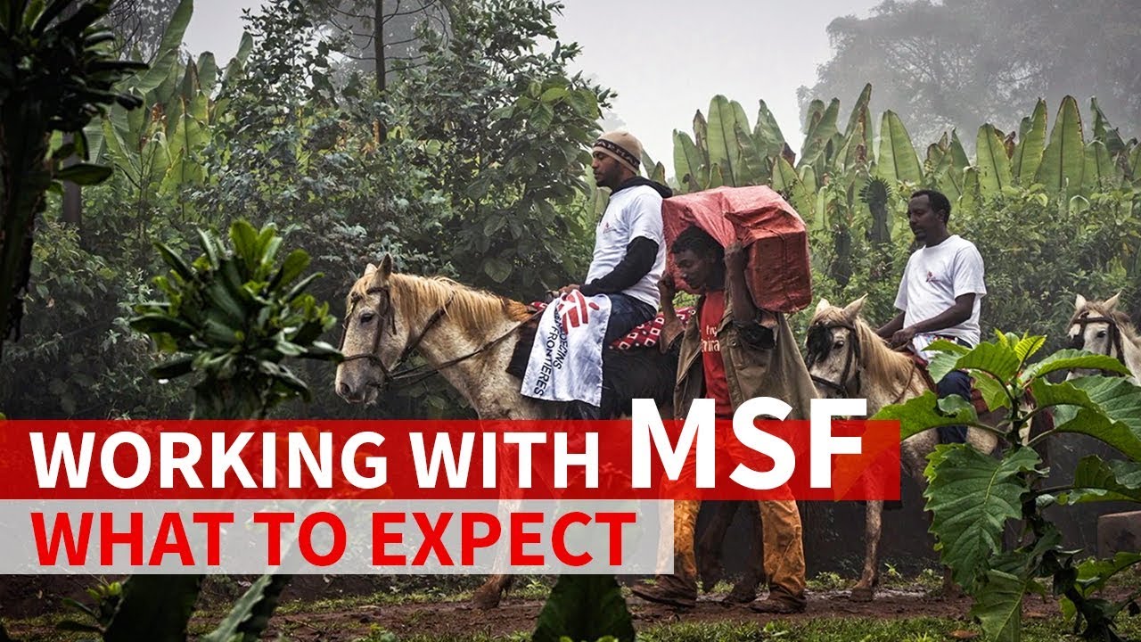 Working with MSF: What to expect