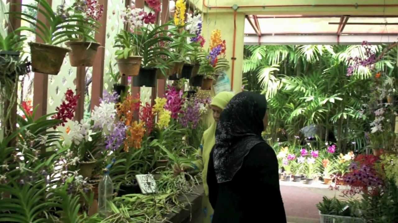 Orchid Garden Kuala Lumpur 2012, Kuala Lumpur Botanical Garden #KLOrchid #TamanOrkidKualaLumpur