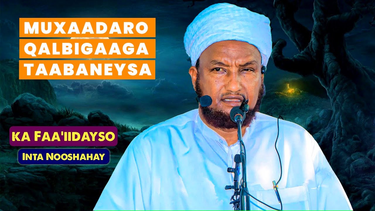 Sheekh Xuseen Cali Jabuuti oo soo bandhigay arrin sabab u ah dhibaatada ka jirta Soomaaliya