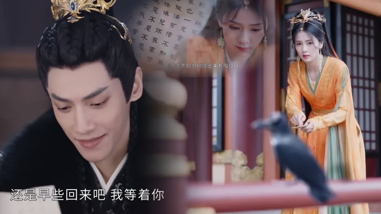 【抢先看】魔君戀愛后太粘人，一天和灰姑娘傳800封信，烏鴉差點被累死每天哀聲怨氣【長月燼明 Till The End of The Moon】