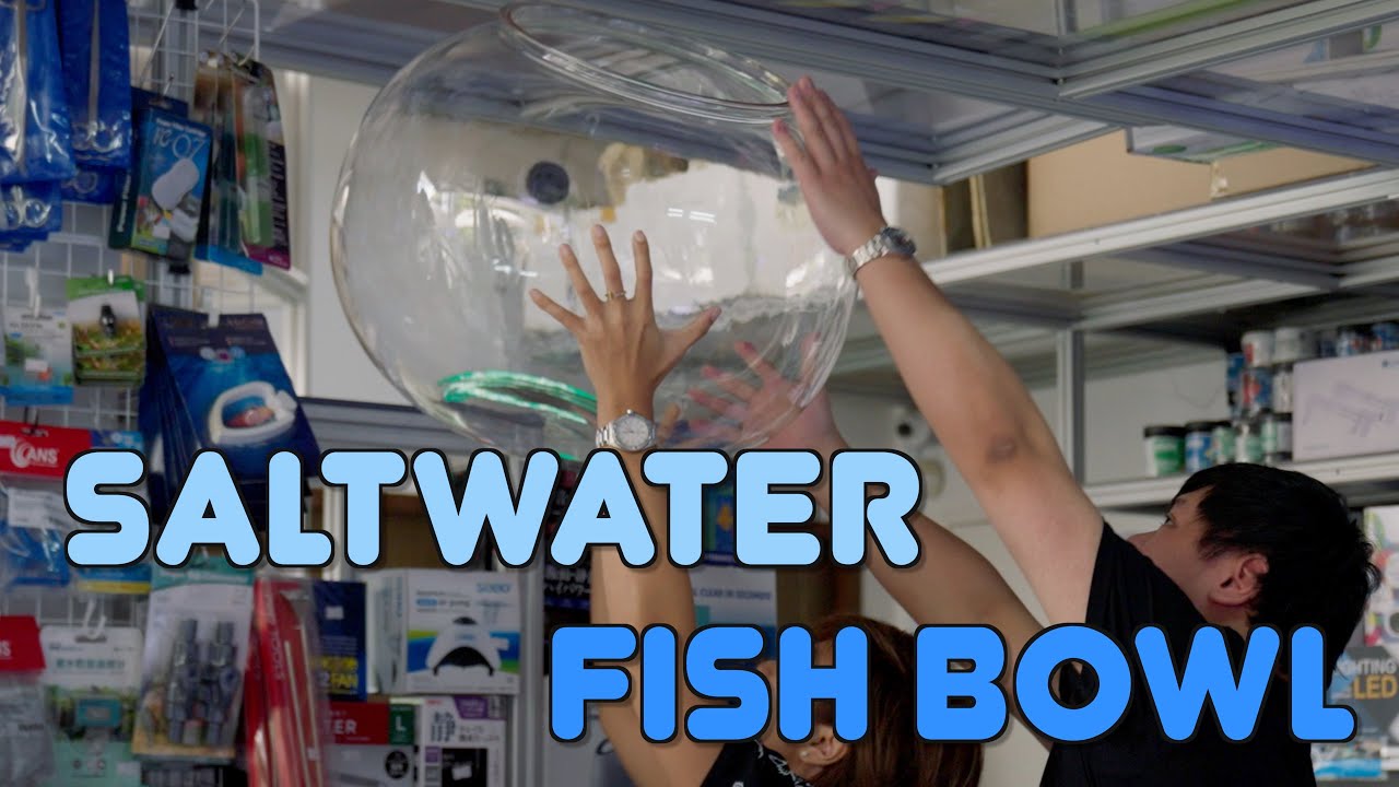 25G FISH BOWL REEF?!