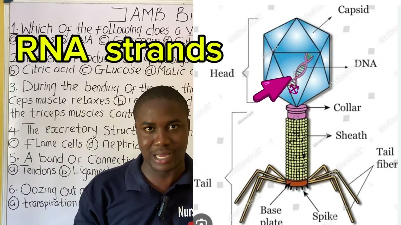 40 JAMB 2026 Biology Likely Questions Revealed(Score 90+ in Your JAMB Biology)