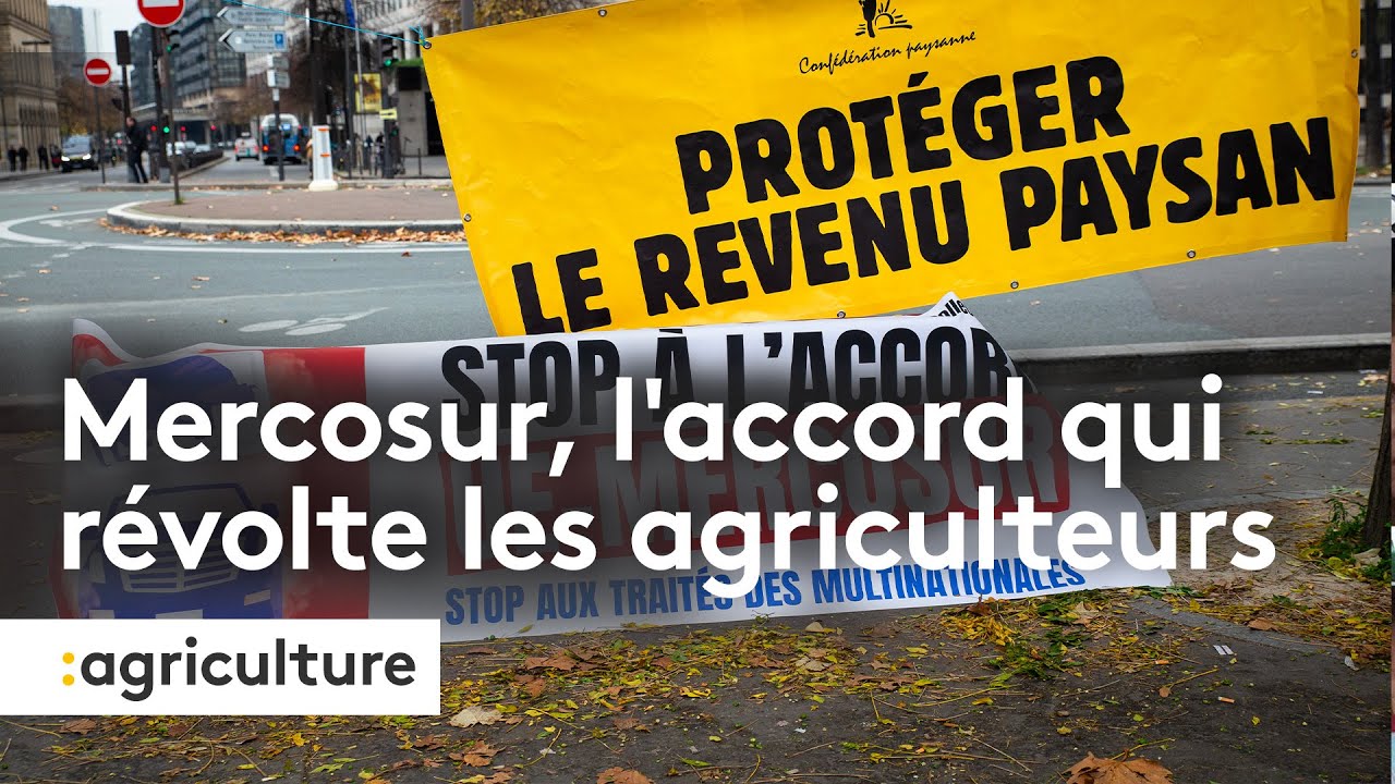 Mercosur, l'accord qui révolte les agriculteurs