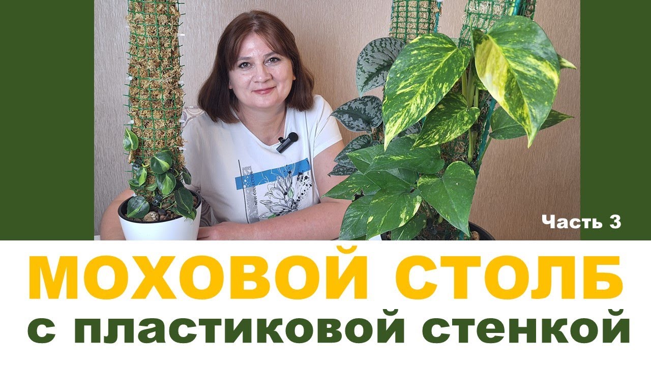 МОХОВАЯ ОПОРА (ТОТЕМ). Часть 3. Изготовление мохового столба с пластиковой основой