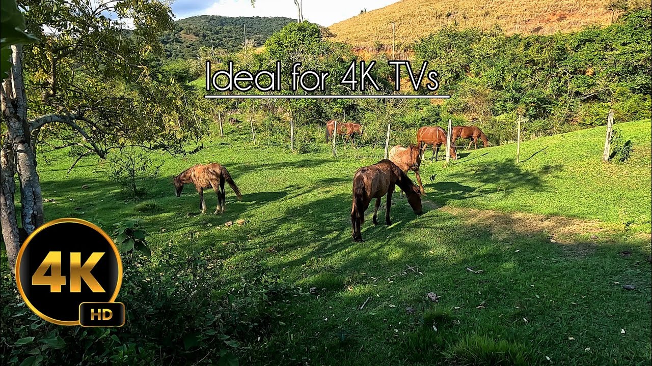 Beautiful landscapes with relaxing nature sounds.