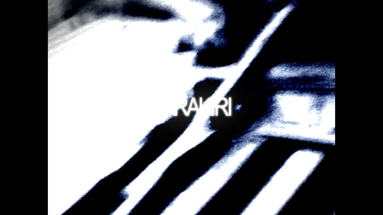 TERROR REID x DOMSTA - HARAKIRI [Visualizer]