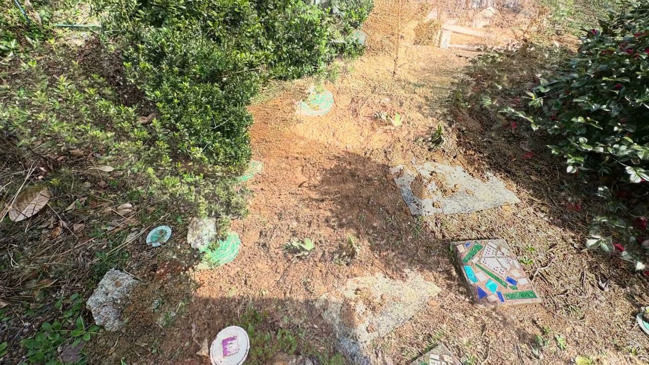 Unexpected repair to our septic system Feb 26, 2026 #371