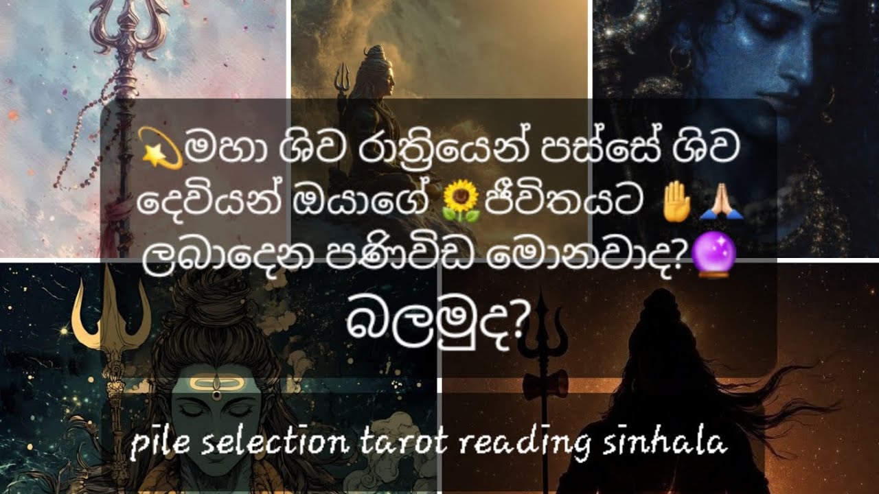 💫 මහා ශිව රාත්‍රියෙන් පස්සේ ශිව දෙවියන් ඔයාගේ 🌻ජීවිතයට 🤚🙏🏻ලබාදෙන පණිවිඩ මොනවාද?🔮 බලමුද? 🗝🎱