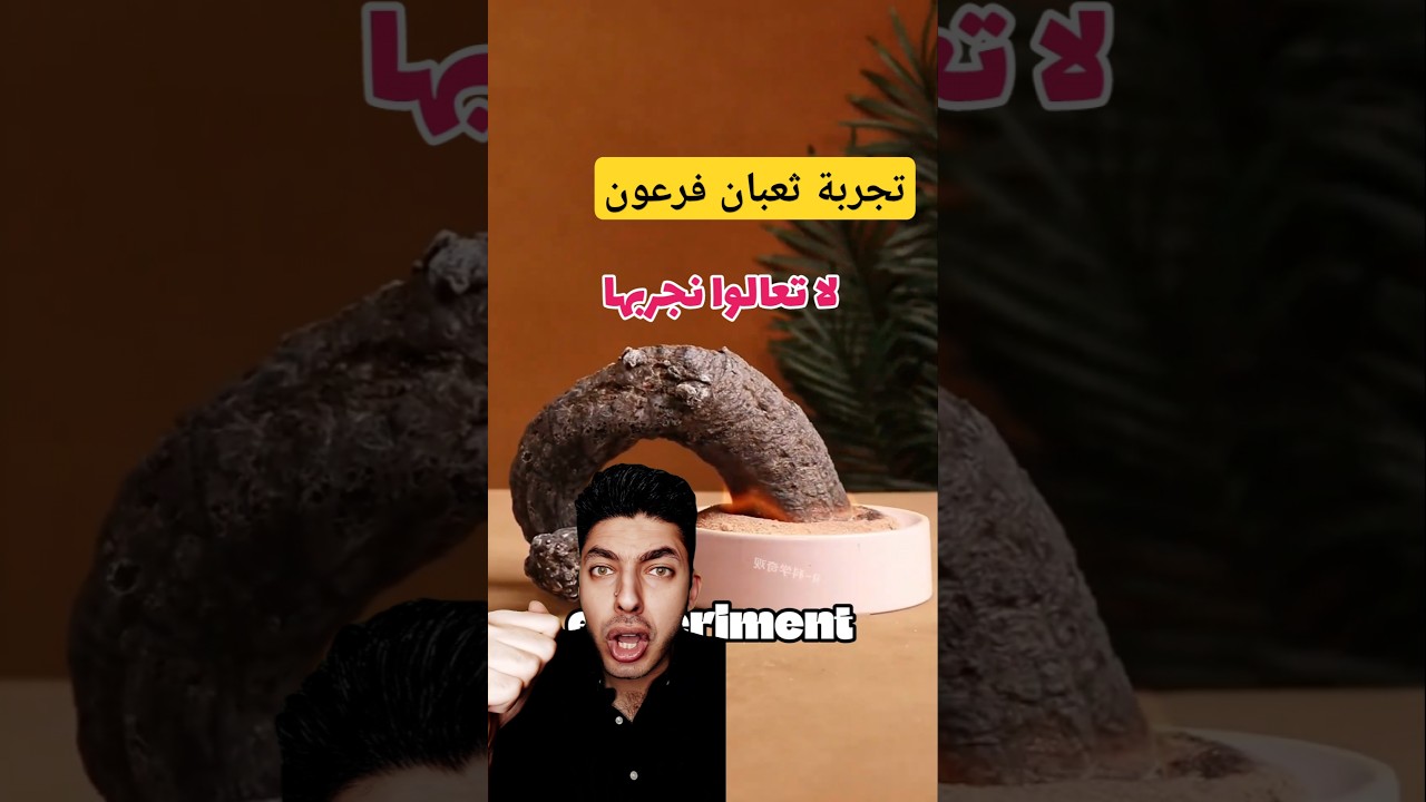 دكتور عمرو داوود يعلق على فيديو تجربة ثعبان فرعون و احتراق السكر #علوم #تجارب #dr_amr_dawood #shorts