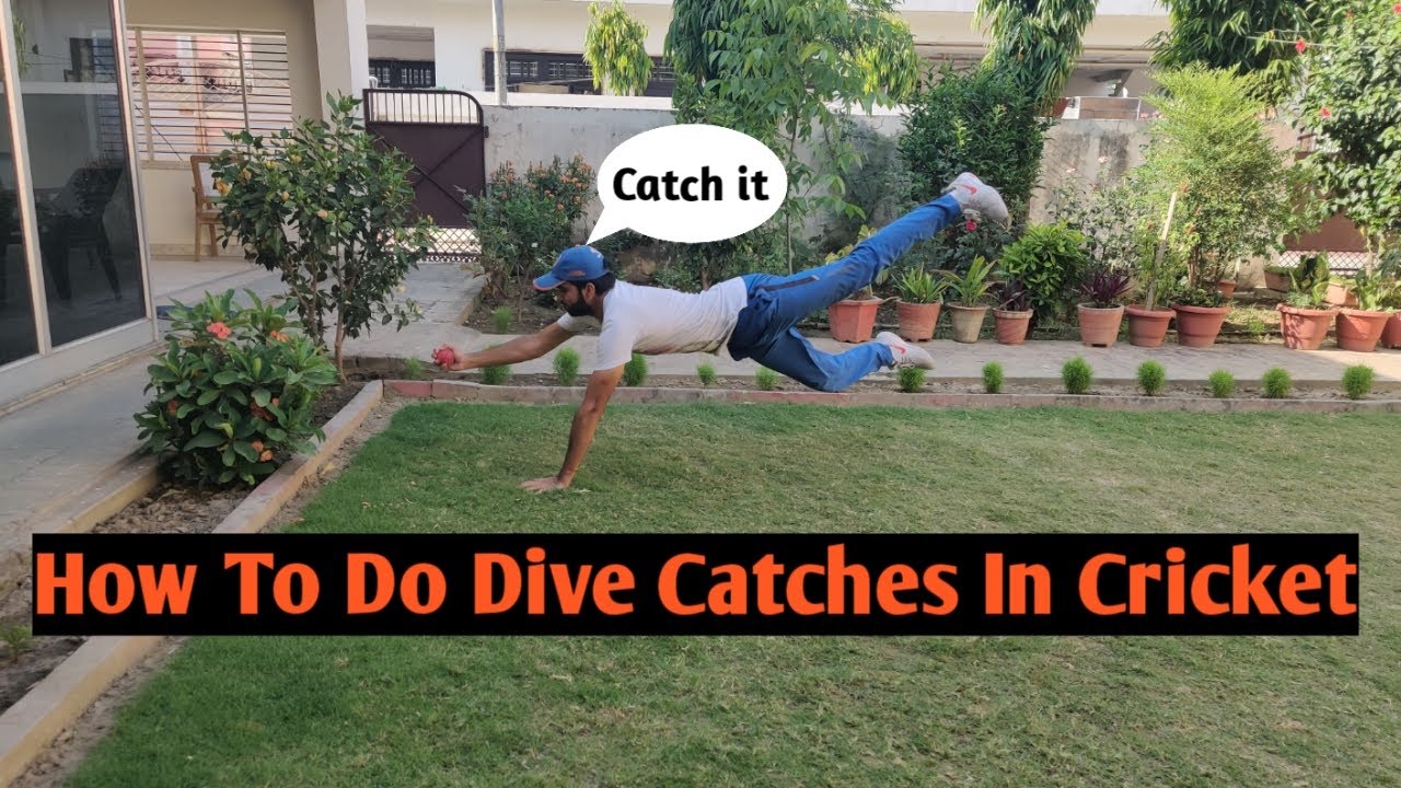 How To Do Dive Catches In Cricket | Dive Catches |