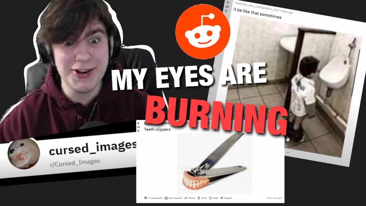 The MOST CURSED IMAGES on the internet Reddit
