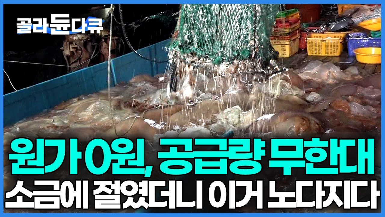 재앙을 비즈니스로 바꾼 미친 실행력. 그물 찢어지게 올라오는 독 덩어리, 소금에 절여 수출 효자 만들었다｜극한직업｜#골라듄다큐