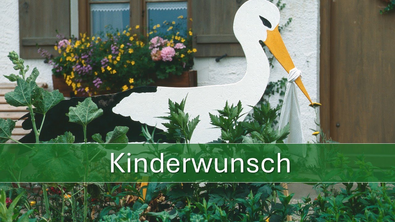 Kinderwunsch - Margret Madejsky im Gespräch mit Christine Baumann