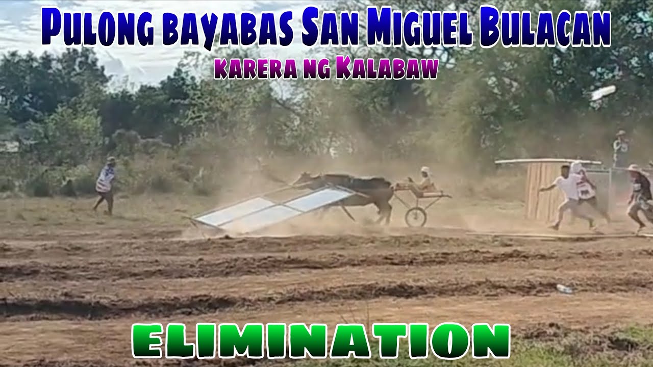 Elimination full video pulong bayabas San Miguel Bulacan Karera ng Kalabaw 