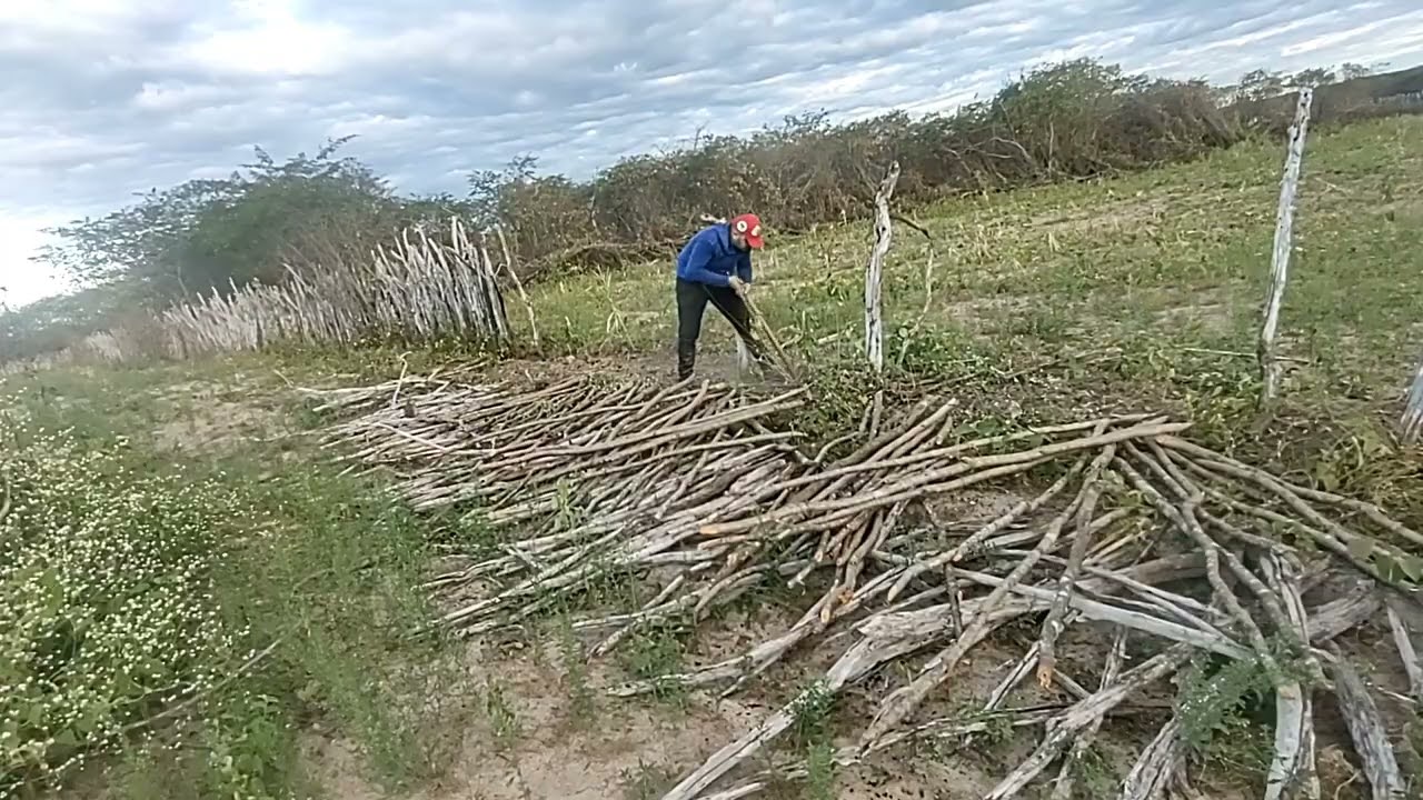 Fazendo Cerca amarrada de arame aqui no Sítio.