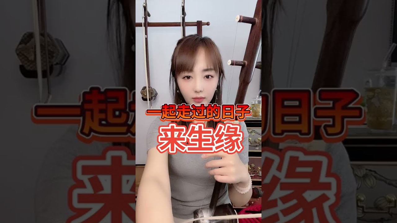 完整版《来生缘》二胡 《一起走过的日子》