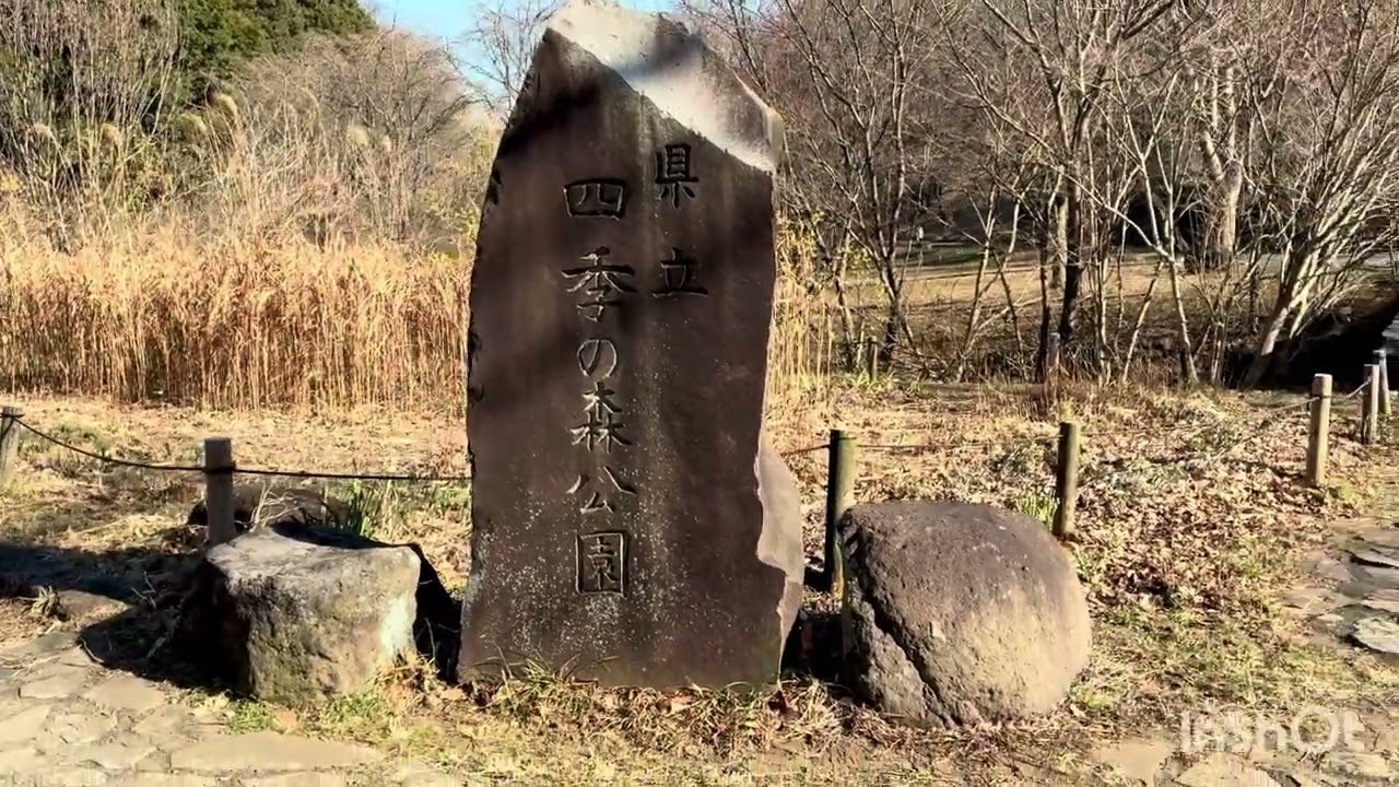 冬の四季の森公園を歩く