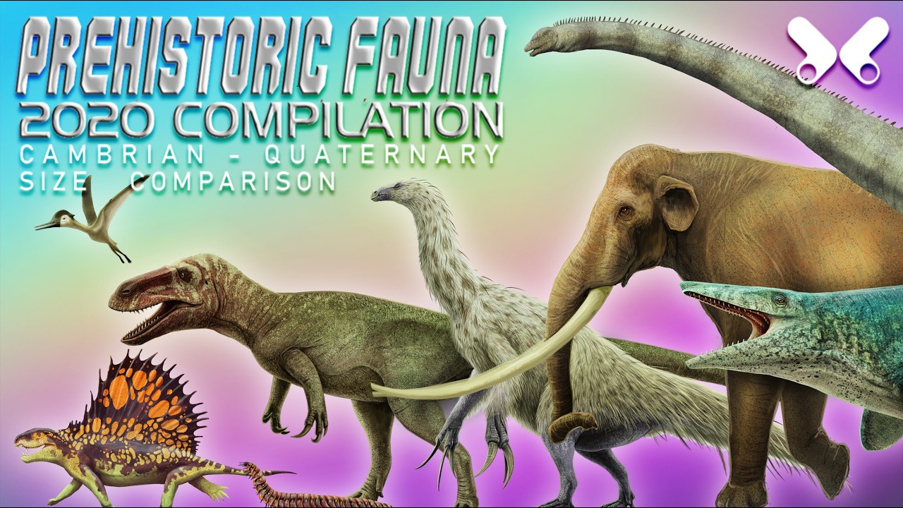 Prehistoric Animals Size Comparison . Compilation 2020