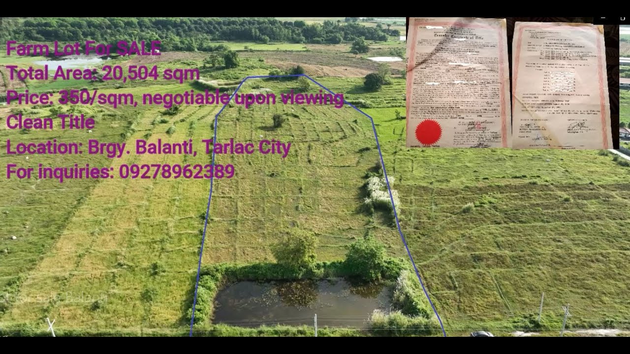 Farm Lot for sale Balanti [Tarlac City]