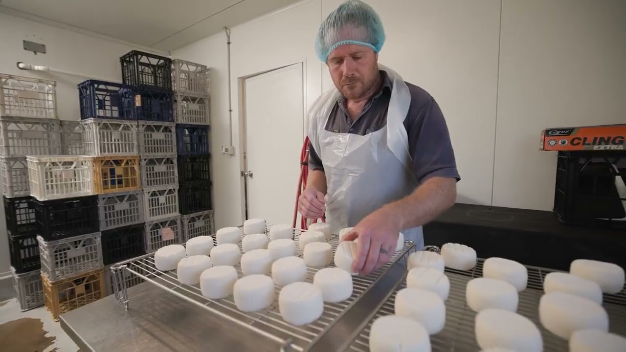 History of dairy farming