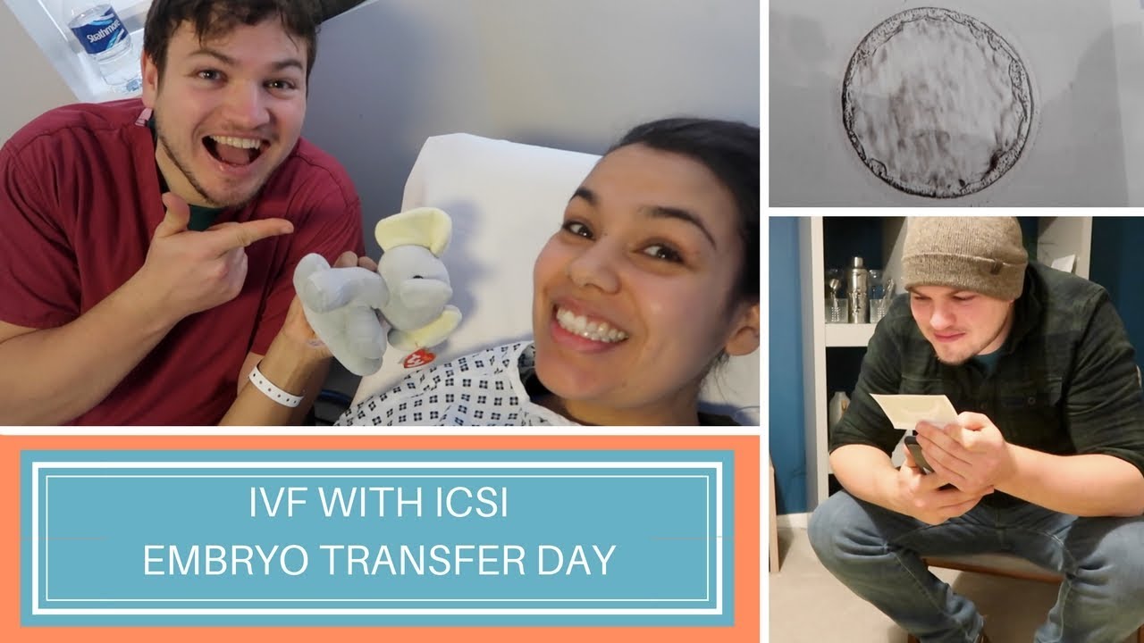 EMBRYO TRANSFER DAY! IVF/ICSI with Egg Donation Vlog.