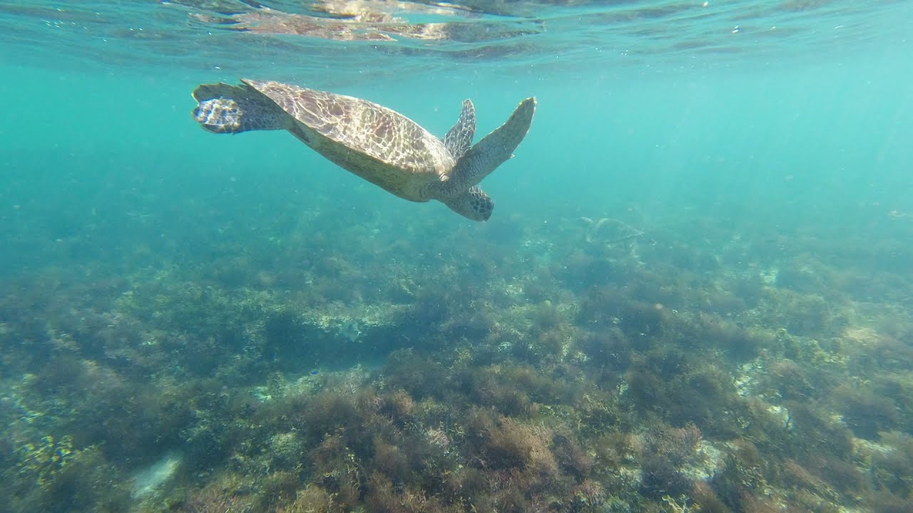 @kidsgoplaces Lap of Australia - Western Australia (Part 3)