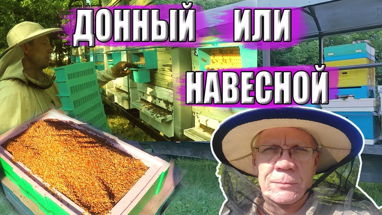 Сбор пыльцы. Какой пыльцесборник Лучше донный или навесной? Испытание дождём.