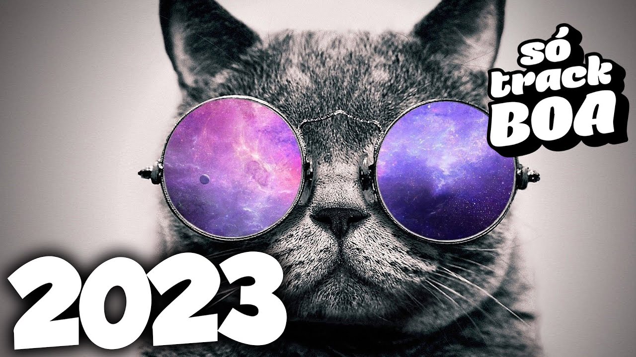 M&Uacute;SICA ELETR&Ocirc;NICA 2023 🔥 S&Oacute; TRACK BOA 🔥 Mais Tocadas - Alok, Vintage Culture, Dubdogz & David Guetta