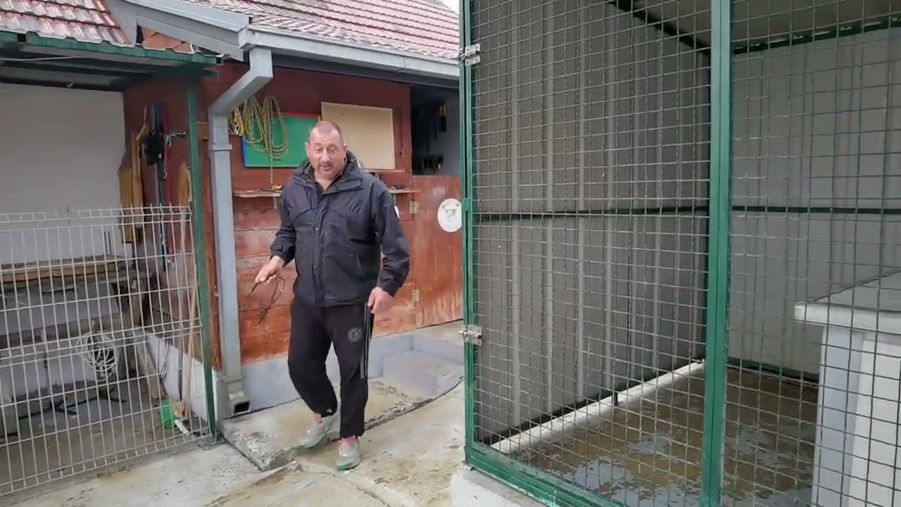 Agresivnost kod pasa (2024)