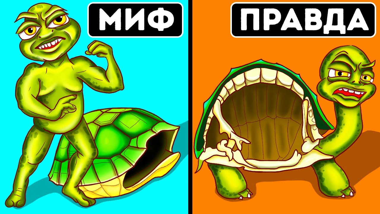 Вы слышали это всю жизнь, но это миф
