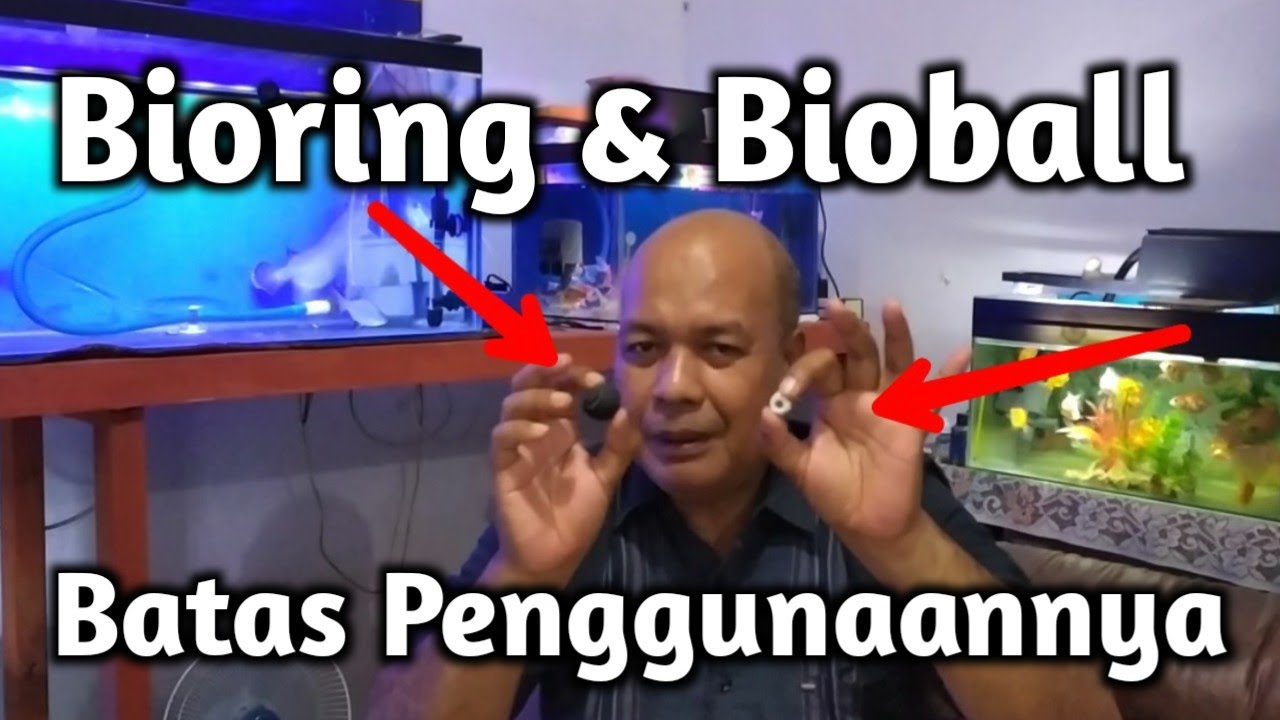 Bioring dan Bioball Batas Penggunaannya