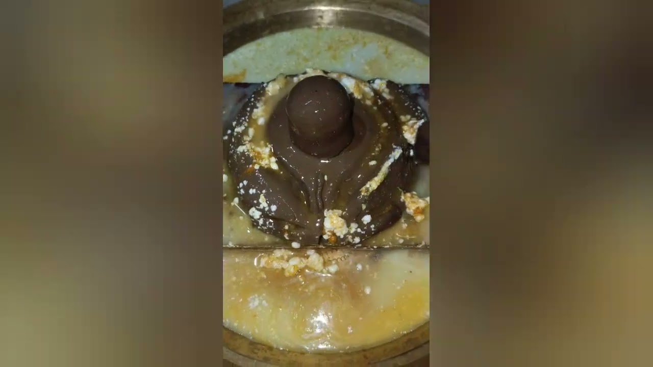 Har har Mahadev 🕉️🙏