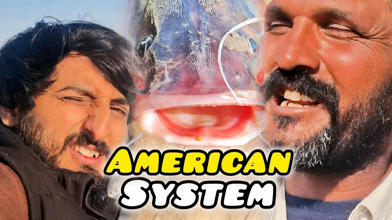 American System | Enjoy With Friends | #mrshent 