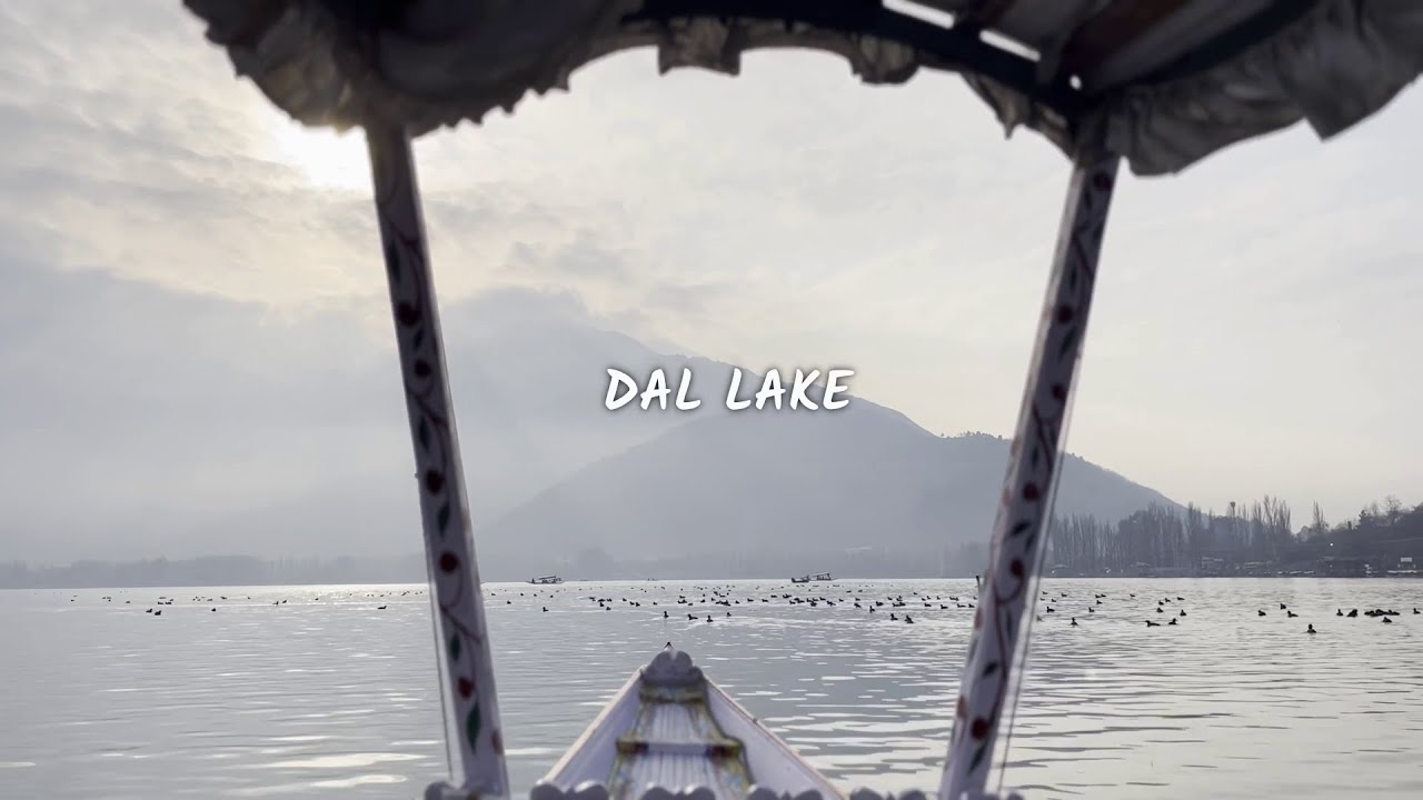 Exploring Dal Lake, Srinagar and spending a night on a houseboat