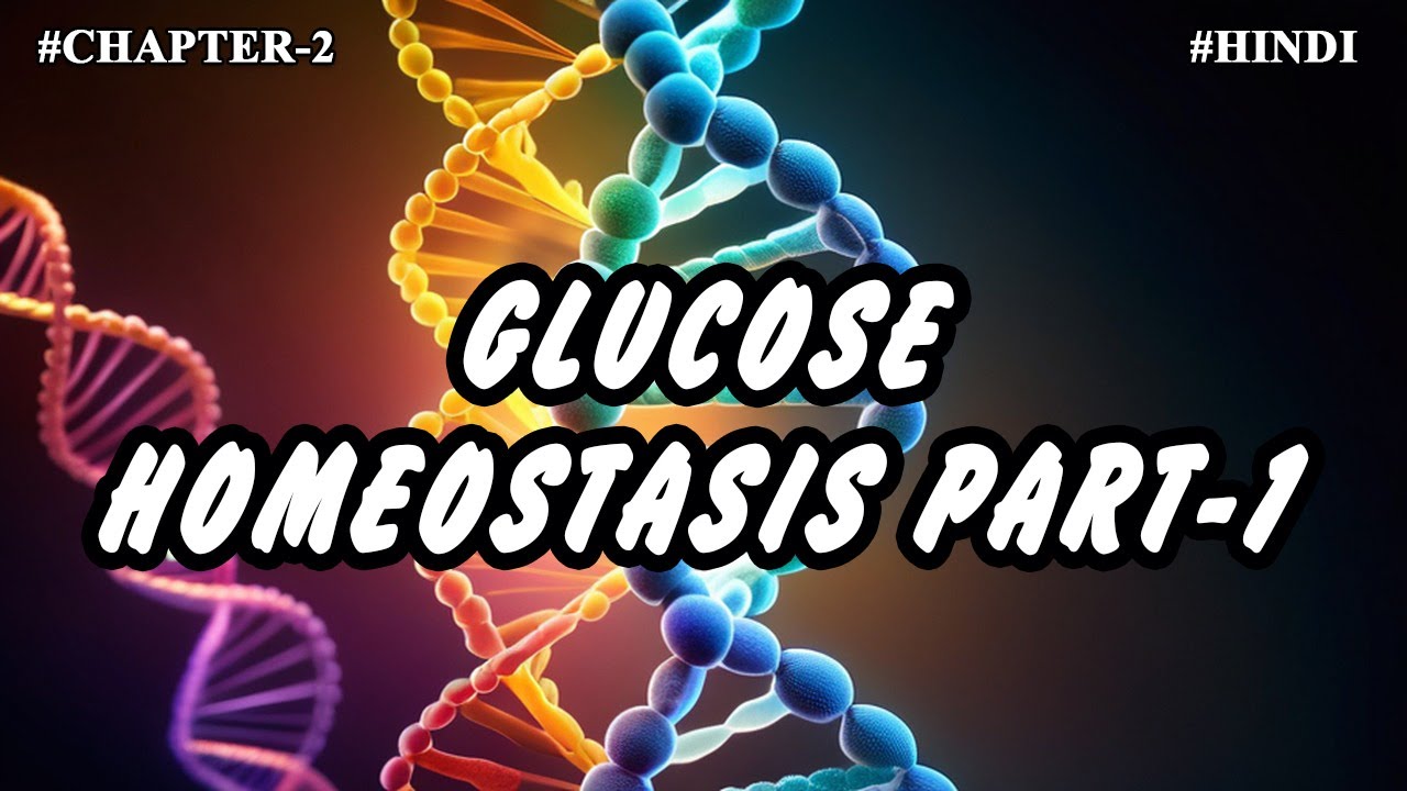Chapter -2 || Metabolism Of Carbohydrates (Part-14) || Glucose Homeostasis