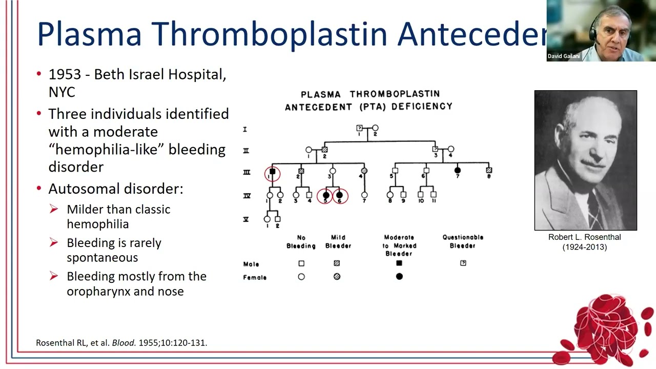 Factor XI/XIa Inhibition as a Target for Anticoagulation: The What, Why, and How
