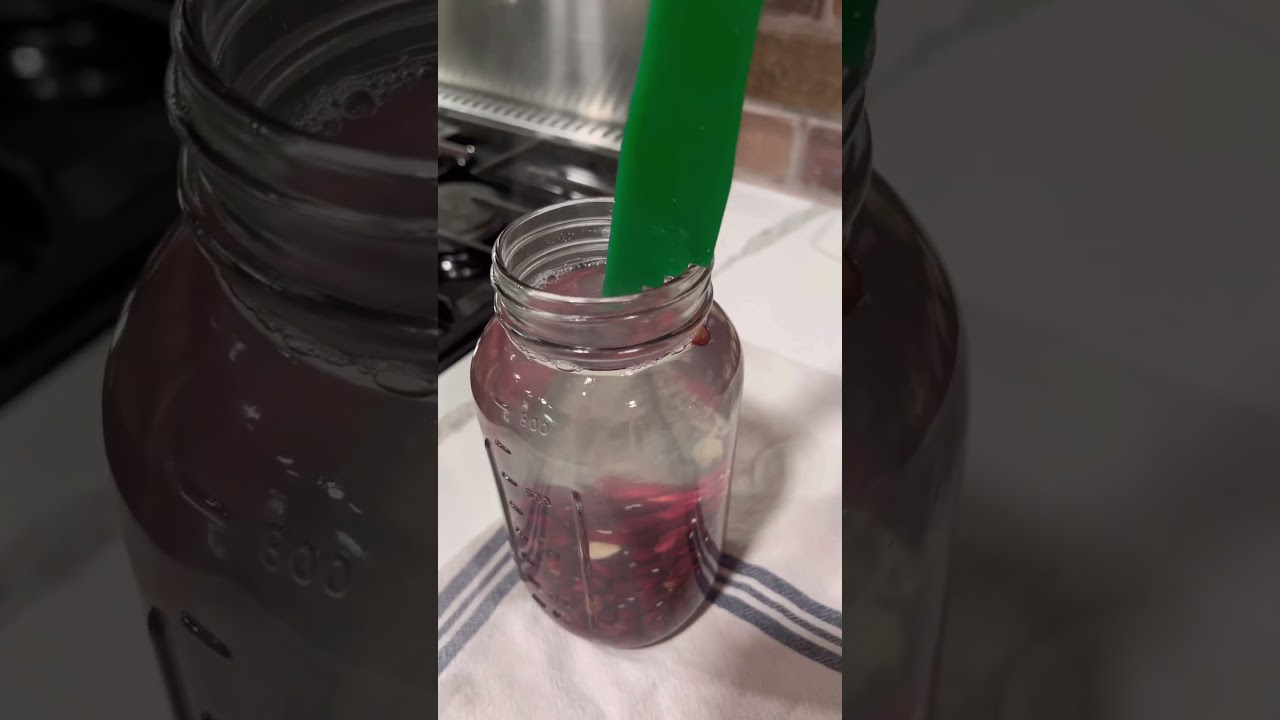 How to Can Dried Beans in Presto Electric Canner #homestead #canning #foodpreservation #prepper