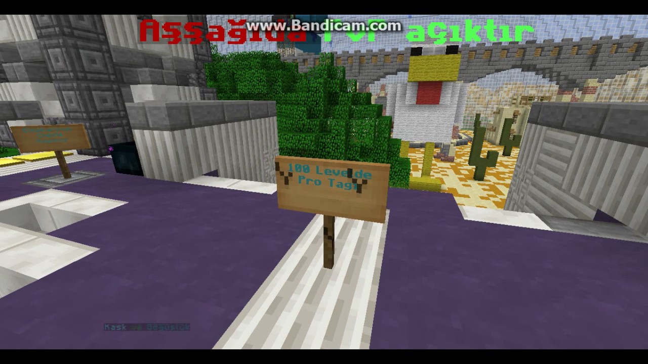 Server Tanıtım 3